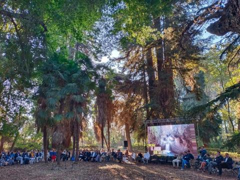 Un grupo de personas sentadas en un área al aire libre frente a una pantalla grande entre árboles.