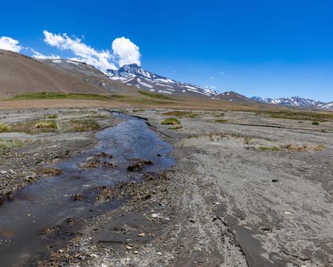Un paisaje árido de la cordillera con un río que fluye entre el terreno seco y montañas nevadas al fondo.