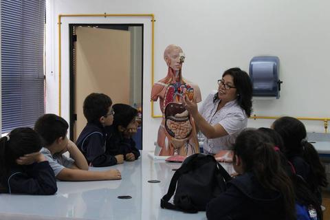 Una maestra explica el sistema humano a un grupo de estudiantes utilizando un modelo anatómico.