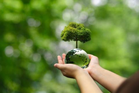 Una persona sostiene un globo terráqueo con un árbol en miniatura encima, simbolizando el cuidado del medio ambiente.