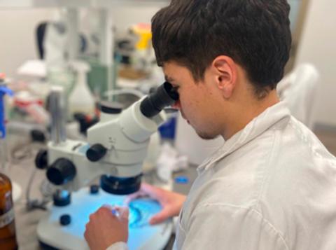 Un estudiante observa una muestra a través de un microscopio en un laboratorio.