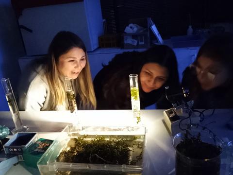Tres mujeres observan curiosas el resultado de un experimento científico en un laboratorio.