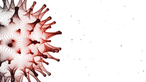 Representación artística de un virus con detalles en rojo y negro.