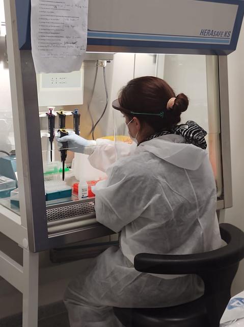 Una persona en un laboratorio, vestida con un equipo de protección, manipulando sustancias en una campana de flujo laminar.