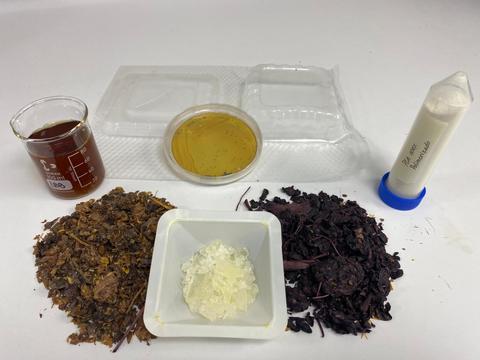 Varias infusiones y ingredientes naturales dispuestos sobre una mesa.