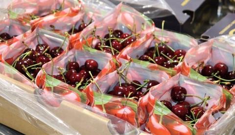 Una bandeja con cerezas frescas listas para ser vendidas.