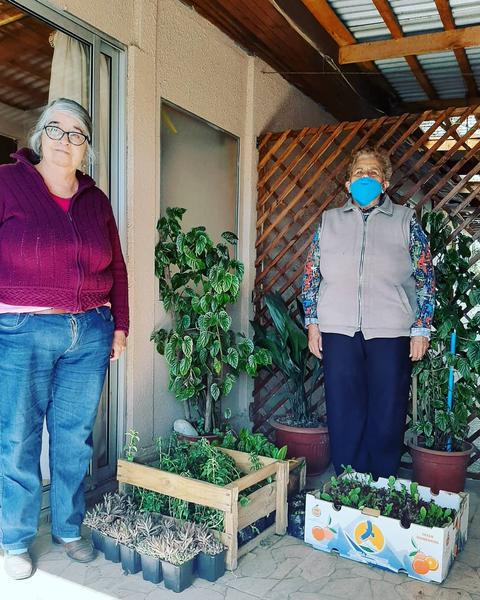 Dos mujeres están de pie junto a varias plantas en macetas, mostrando su interés por la jardinería.