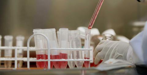 Un laboratorio donde se realizan experimentos con tubos de ensayo llenos de líquido rojo.