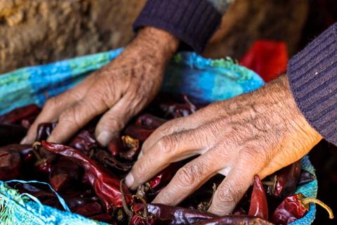 Dos manos manipulando chiles secos en una canasta.