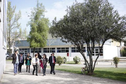 Un grupo de personas camina por un camino en un entorno escolar con árboles alrededor.