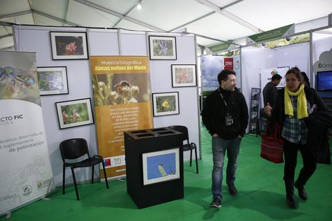 Una exposición fotográfica sobre abejas nativas en un evento con asistentes caminando.