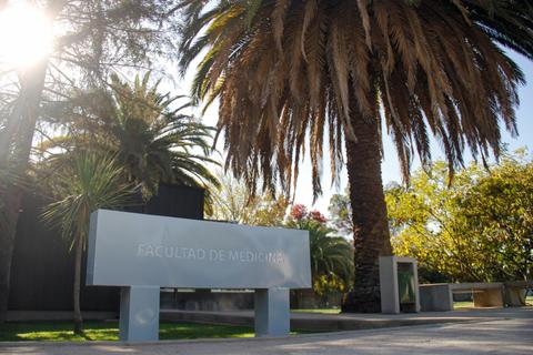 La imagen muestra la fachada de la Facultad de Medicina rodeada de palmeras y árboles con luz solar.