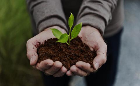 Una persona sostiene en sus manos una planta pequeña creciendo sobre un puñado de tierra.
