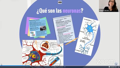 La imagen presenta información sobre las neuronas, incluyendo diagramas y texto explicativo.