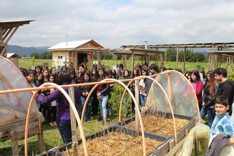 Un grupo de estudiantes observa una presentación sobre agricultura en un campo.