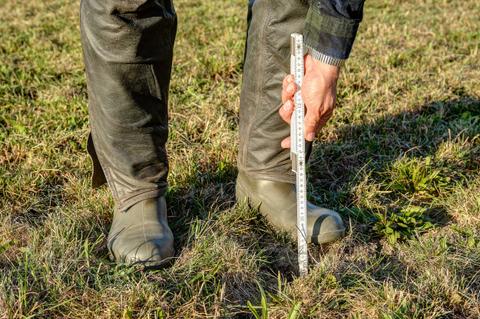 Una persona mide el terreno con una regla en un campo de hierba.