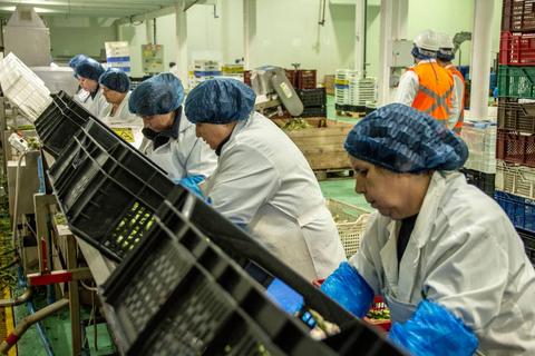 Un grupo de trabajadores en una línea de producción en una fábrica.