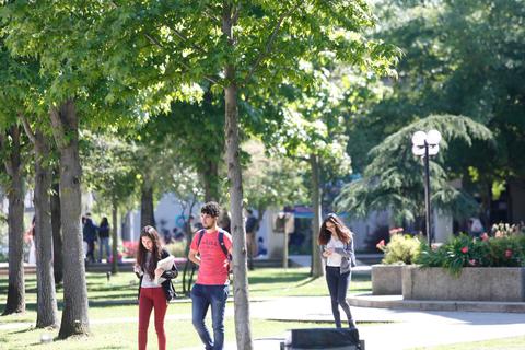 Un grupo de jóvenes camina por un parque lleno de árboles y plantas.