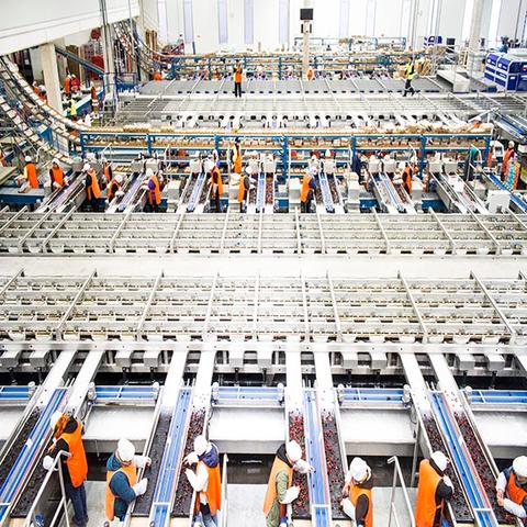 Una panorámica de una planta de procesamiento con trabajadores organizando productos.