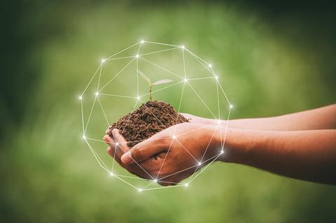 Una mano sostiene tierra con una planta pequeña, rodeada de un diseño gráfico que simboliza conexión y tecnología.