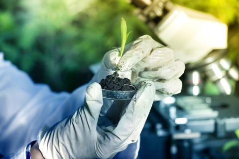 Un científico sostiene una plántula en sus manos mientras está en un laboratorio.