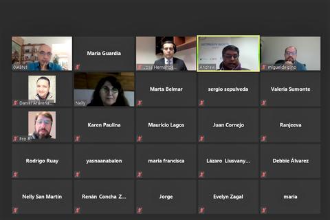 Una reunión virtual con varias personas en cuadros de video.