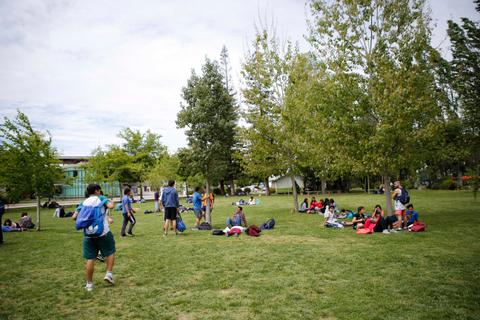 Un grupo de personas jóvenes se reúne en un parque con árboles y césped.