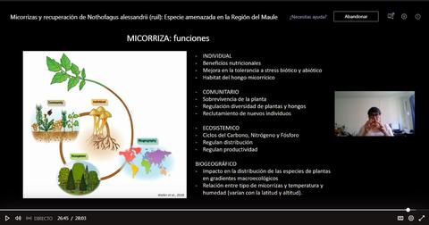 La imagen presenta información sobre las funciones de las micorrizas en relación con las plantas y su entorno.