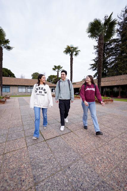 Un grupo de tres jóvenes camina y charla en un patio con palmeras alrededor.
