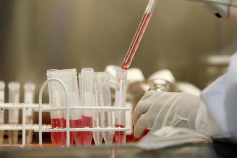 Una mano con guantes agrega un líquido rojo a un tubo de ensayo en un laboratorio.