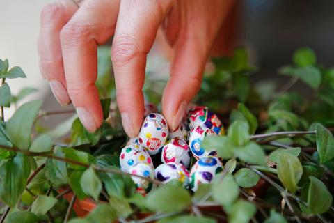 Una mano recoge huevos de chocolate decorados en un jarrón con plantas verdes.