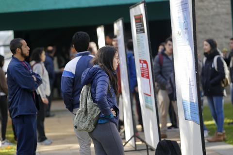 Un grupo de personas observa exposiciones en carteles al aire libre.