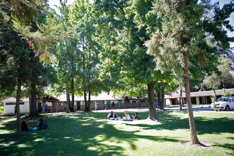 Un grupo de personas se relaja en un área verde rodeada de árboles y edificios de una institución.