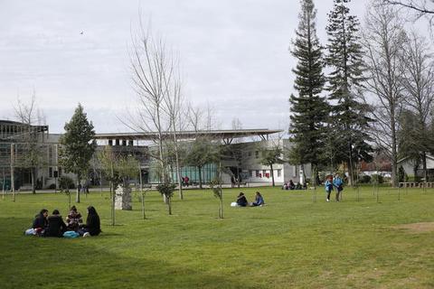 Un grupo de personas se reúne en un parque rodeado de árboles y edificios modernos.