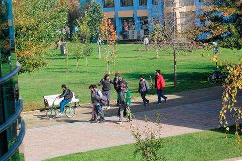 Un grupo de personas camina por un parque con áreas verdes y bancas.