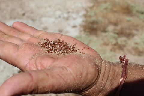 Una mano sostiene un pequeño puñado de arena y granos minerales.