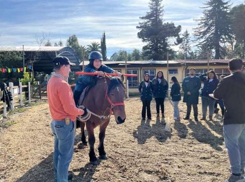 Una persona monta un caballo mientras otros observan con interés.