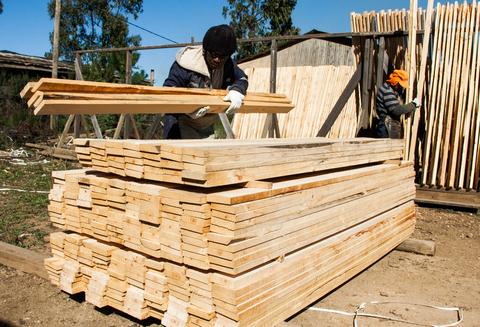 Dos trabajadores están organizando tablas de madera apiladas en una construcción.