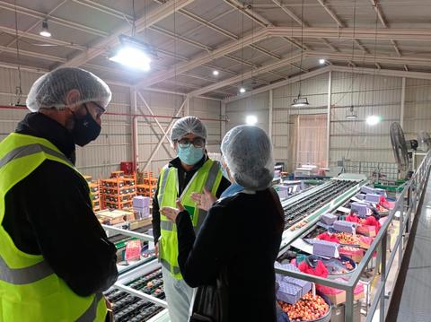 Tres personas conversan en un entorno de trabajo relacionado con la distribución de frutas y verduras.