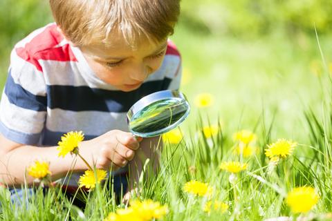 Un niño observa flores con una lupa en un campo verde.