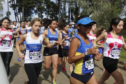 Un grupo de mujeres corriendo en una competencia de cross country.