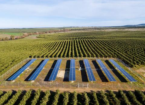 Campo de paneles solares rodeado de viñedos en un paisaje agrícola.
