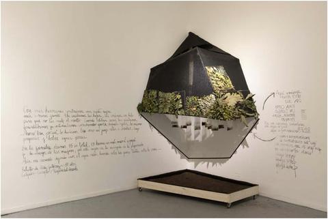 Instalación artística que combina elementos naturales con expresiones escritas en la pared.