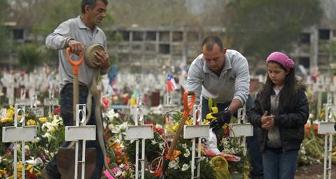 Un grupo de personas trabaja en un cementerio decorando tumbas con flores y herramientas de jardinería.