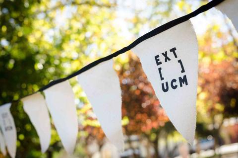 Una serie de banderines blancos con inscripciones en negro colgados entre árboles en un entorno natural.