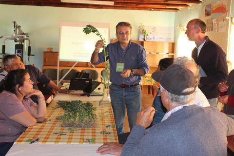 Una persona presenta una planta en una reunión grupal sobre agricultura.