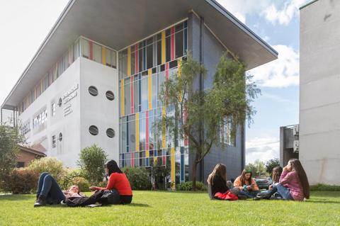 Grupo de estudiantes disfrutando de un día soleado en la hierba frente a un edificio moderno.