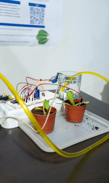 Un sistema de riego automático con plantas en macetas y componentes electrónicos.