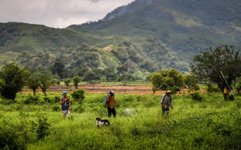 Un grupo de personas camina por un campo verde con montañas al fondo.