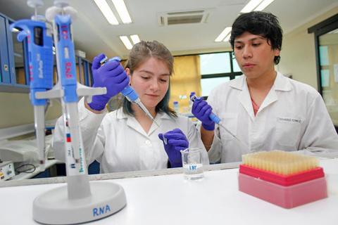 Dos estudiantes de ciencia están realizando experimentos en un laboratorio.